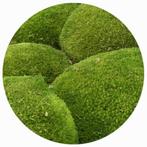 gestabiliseerd balmos (NATURE GREEN, +/- 500 gram, 0,2m2), Hobby en Vrije tijd, Knutselen, Ophalen of Verzenden, Nieuw, Materiaal