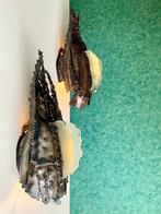 2 Unieke Sets Vintage 60’s Brutalist Wandlampen Staal/Glas, Ophalen, Zo goed als nieuw, Glas, Brutalistisch