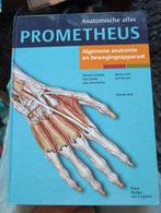 Michael Schunke - Algemene anatomie en bewegingsapparaat, Zo goed als nieuw, Michael Schunke; Udo Schumacher; Erik Schulte, Beta
