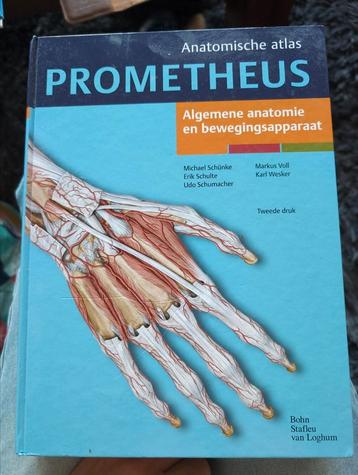 Michael Schunke - Algemene anatomie en bewegingsapparaat beschikbaar voor biedingen
