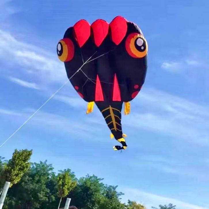 Mega Grote Parafoil Kikkervis Vlieger 4,2 meter bij 10 meter, Sport en Fitness, Vliegeren, Nieuw, Vlieger, Eenlijns, Ophalen of Verzenden