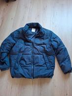 Winterjas, EDC, Blauw, Maat 56/58 (XL), Ophalen of Verzenden