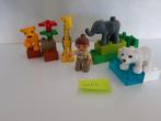 Duplo, Ophalen of Verzenden, Zo goed als nieuw, Duplo