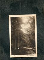 Ansicht De Lutte - Het Kruisselt, Verzenden, 1920 tot 1940, Ongelopen, Overijssel