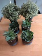 Kunstplanten o.a van Ikea, Ophalen, Zo goed als nieuw