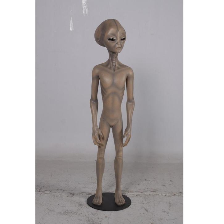 Alien Roswell Grey 124 cm - alienbeeld, Verzamelen, Beelden en Beeldjes, Nieuw, Ophalen
