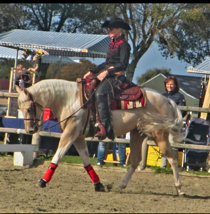 Instructie aangeboden, Dieren en Toebehoren, Paarden en Pony's | Overige Paardenspullen, Western, Ophalen of Verzenden