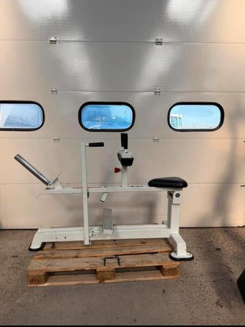 Panatta plate loaded calf raise / calf machine / Kuiten beschikbaar voor biedingen