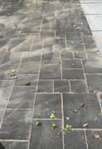 50 m2 tegels GRATIS, Tuin en Terras, Ophalen, Zo goed als nieuw, 10 m² of meer, Beton