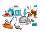 Duplo 10803 Poolgebied set met oa iglo,eskimo,walvis,ijsbeer, Ophalen of Verzenden, Zo goed als nieuw, Complete set, Duplo