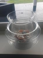 Viskommen incl. gratis schelpen/stenen, Dieren en Toebehoren, Vissen | Aquaria en Toebehoren, Ophalen, Zo goed als nieuw, Leeg aquarium