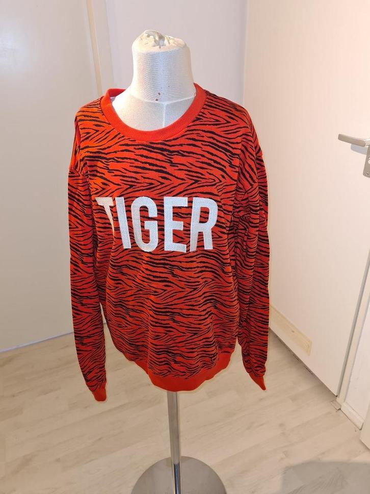 leuke trui maat 164  (k5, Kinderen en Baby's, Kinderkleding | Maat 164, Zo goed als nieuw, Meisje, Trui of Vest, Ophalen of Verzenden