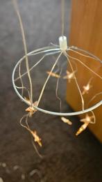 Ikea Kerstlichtkrans met sterren in doos Glänsa, Ophalen of Verzenden, Nieuw