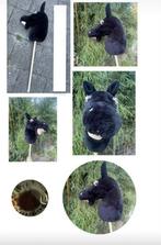 Leuke pipoos hobbyhorse Blacky ️, Ophalen of Verzenden, Zo goed als nieuw