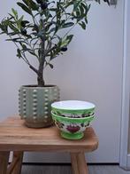 Antieke Petrus Regout Spoelkommen, Ophalen of Verzenden