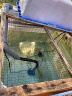 vijver vis koi quarantaine bak Qbak opgroeibak vissentank, Ophalen of Verzenden, Nieuw, Filter of Co2