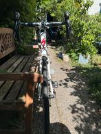 Specialized Ruby Carbon Ultegra 54, Gebruikt, Carbon, Meer dan 20 versnellingen, 53 tot 57 cm