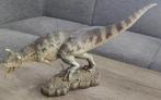 Carnotaurus, Sideshow Dinosauria, Ophalen of Verzenden, Nieuw, Dier