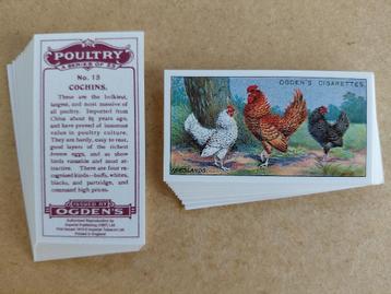 Poultry complete set 25 cigarette cards pluimvee REPRO beschikbaar voor biedingen