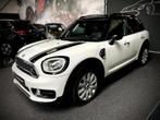 Mini Mini Countryman 2.0 Cooper S ALL4 Chili PANO NAVI 192 P, Auto's, Mini, 1998 cc, 1505 kg, Leder en Stof, Wit