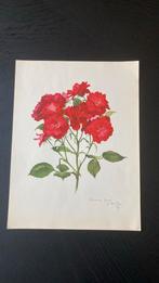 Vintage botanische prenten rozen origineel, Ophalen of Verzenden