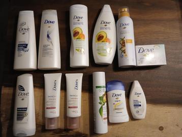 Dove beschikbaar voor biedingen