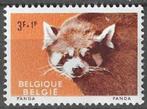 Belgie 1961 - Yvert/OBP 1186 - Zoo Antwerpen - Panda (PF), Postzegels en Munten, Verzenden, Postfris