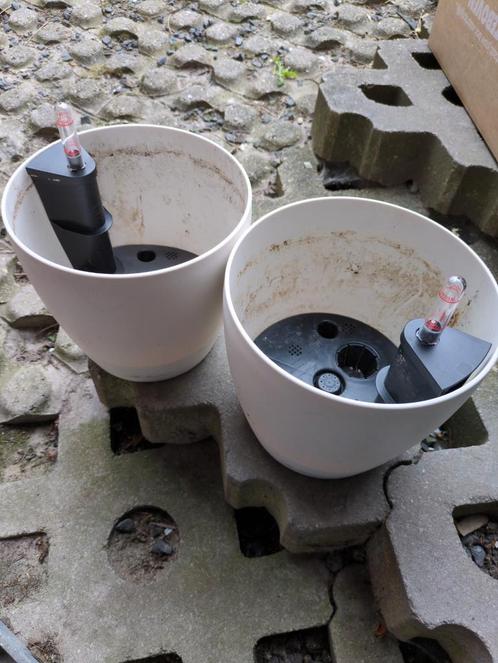 Lechuza plantenbakset wit (met waterreservoir), Tuin en Terras, Bloembakken en Plantenbakken, Zo goed als nieuw, Kunststof, Binnen