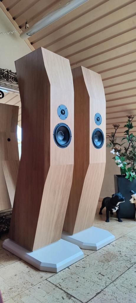 Master SEN / Serenity Luidsprekers, Audio, Tv en Foto, Luidsprekers, Zo goed als nieuw, Front, Rear of Stereo speakers, 120 watt of meer