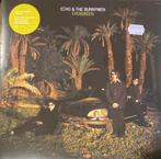 ECHO AND THE BUNNYMEN - evergreen LP, Ophalen of Verzenden, Zo goed als nieuw, 12 inch, Alternative