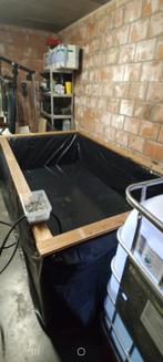 Tropische binnenvijver inclusief visbestand, Dieren en Toebehoren, Ophalen, Gevuld zoetwateraquarium