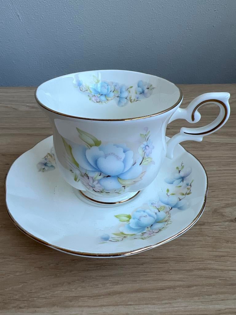 Royal Canterbury ☕️ kop en schotel, Ophalen of Verzenden, Nieuw, Porselein, Kop en/of schotel