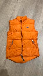 Napapijri bodywarmer oranje maat s - m, Kleding | Dames, Bodywarmers, Ophalen, Zo goed als nieuw, Maat 36 (S), Oranje