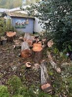 Gratis gekapte bomen in HOOFDDORP, Tuin en Terras, Haardhout, Ophalen