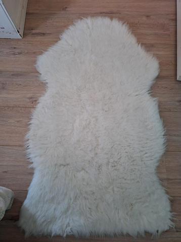 Witte, warme vacht beschikbaar voor biedingen