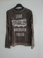 Shirt met lange mouw maat 170 / 176, Ophalen of Verzenden, Gebruikt, Meisje, Shirt of Longsleeve