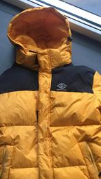 Winterjas warme dons waterdichte Dickies Original, Kleding | Heren, Jassen | Winter, Maat 48/50 (M), Geel, Ophalen of Verzenden