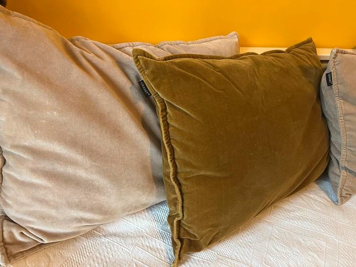 Velvet Designer Kussen - Zo Goed Als Nieuw!, Huis en Inrichting, Woonaccessoires | Kussens, Zo goed als nieuw, Groen, Rechthoekig