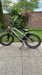 Alpina Trial 20 inch fiets zilver, Ophalen, Gebruikt, Staal, Alpina