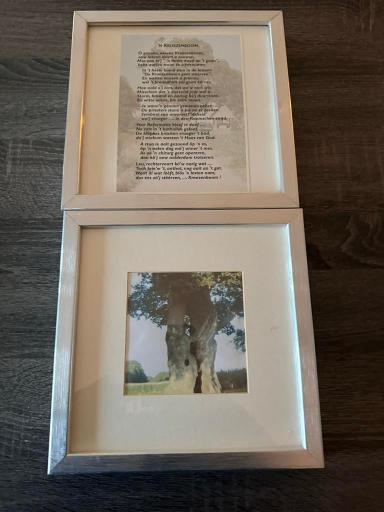 Set Kroezenboom Fleringen: Historische Foto & Twents Gedicht, Minder dan 50 cm, Metaal of Aluminium, Ophalen of Verzenden, Zo goed als nieuw