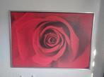 Gratis af te halen, IKEA Rozen Schilderij 140x100cm, gratis, Ophalen, Gebruikt