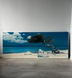 IKEA PJÄTTERYD ENBO Wandlijst 140x56cm, Antiek en Kunst, Ophalen