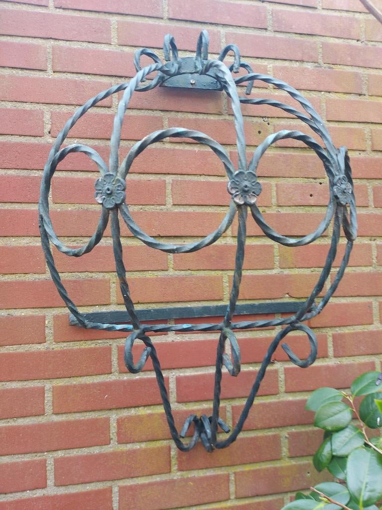 Sier Planten ruif., Ophalen, Bloeit niet, Halfschaduw, Overige soorten