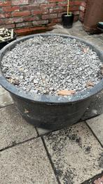 Gratis af te halen: grijze split., Tuin en Terras, Grind, Keien en Split, Ophalen, Overige materialen, Gebruikt, Split