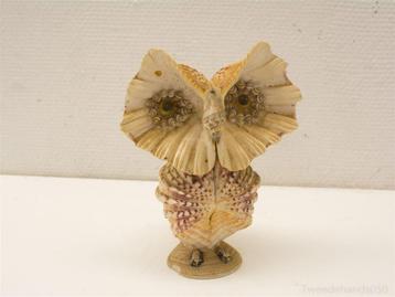 Schelpen uil 98602 beschikbaar voor biedingen