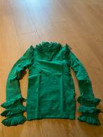 NIEUW: groen Reinders truitje maat s, Kleding | Dames, Truien en Vesten, Ophalen of Verzenden, Nieuw, Groen