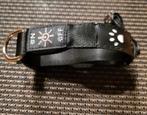Honden Halsband met Led Verlichting (Nieuw), Dieren en Toebehoren, Ophalen of Verzenden, Verlicht, Zo goed als nieuw