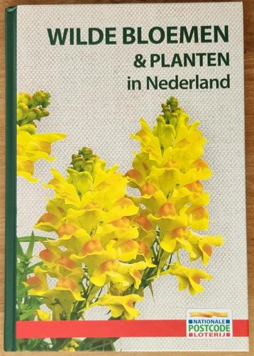 Wilde bloemen & planten in Nederland + veldgids - NIEUW beschikbaar voor biedingen