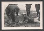 Duitse soldaat traint met MG34., Verzamelen, Verzenden, Landmacht, Duitsland, Foto of Poster