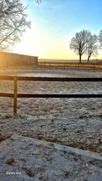 Stalling aangeboden, Dieren en Toebehoren, Stalling en Weidegang, Weidegang